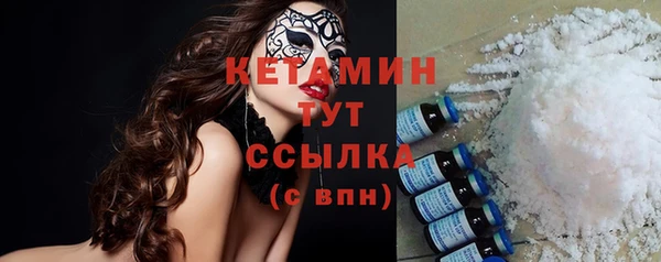 гашик Няндома