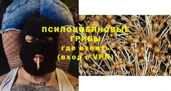 гашик Няндома