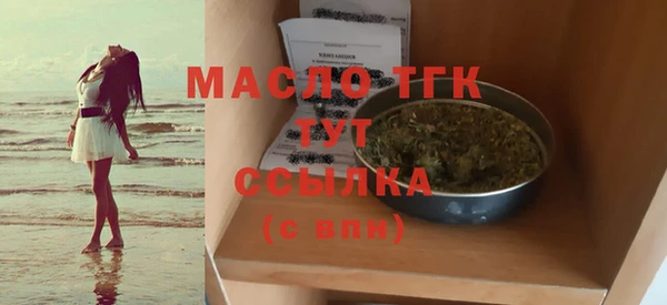 гашик Няндома