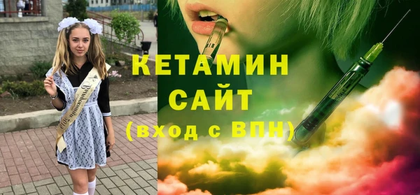 гашик Няндома
