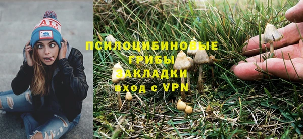 меф Нягань
