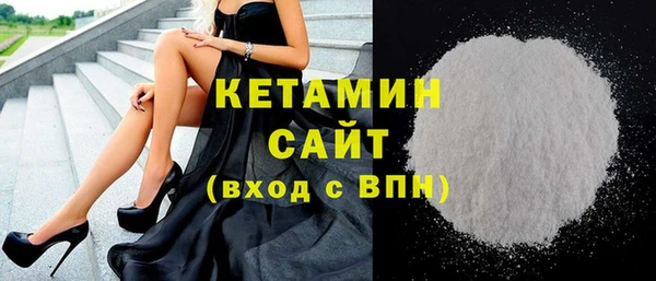 гашик Няндома