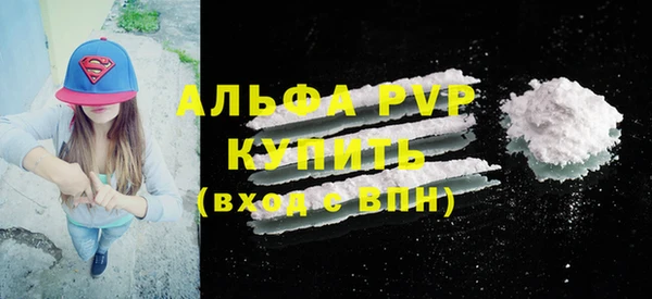 гашик Няндома