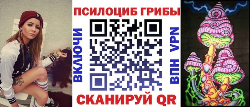 Псилоцибиновые грибы Psilocybine cubensis Беломорск